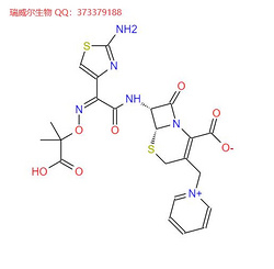 复达欣头孢他啶72558828ceftazidime