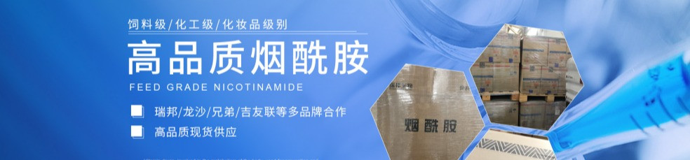 宁波炳星化工有限公司