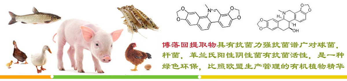 长沙上禾生物科技有限公司