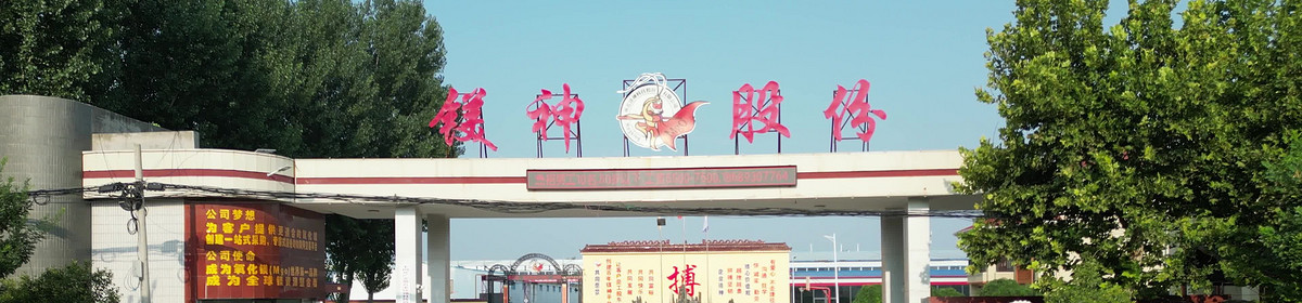 河北镁神科技股份有限公司