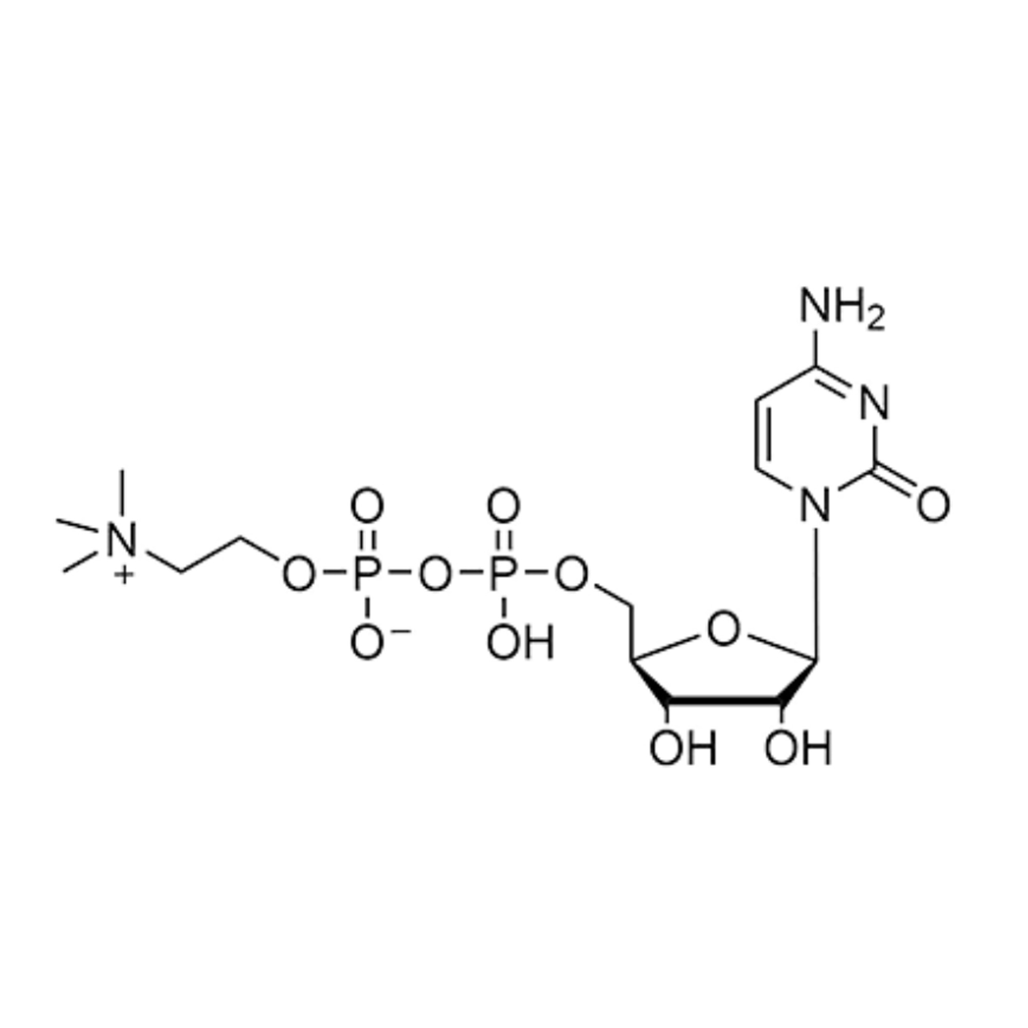 胞磷膽堿 Citicoline