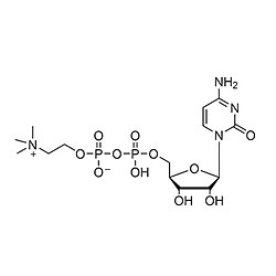 胞磷胆碱 Citicoline