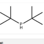 二叔丁基膦