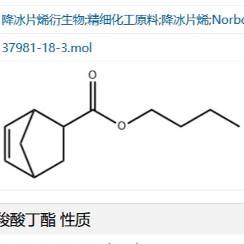 5-降冰片烯-2-羧酸丁酯