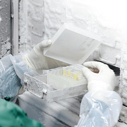 低温和深度冷冻医药标签 Deep-freeze and Cryogenic storage Label
