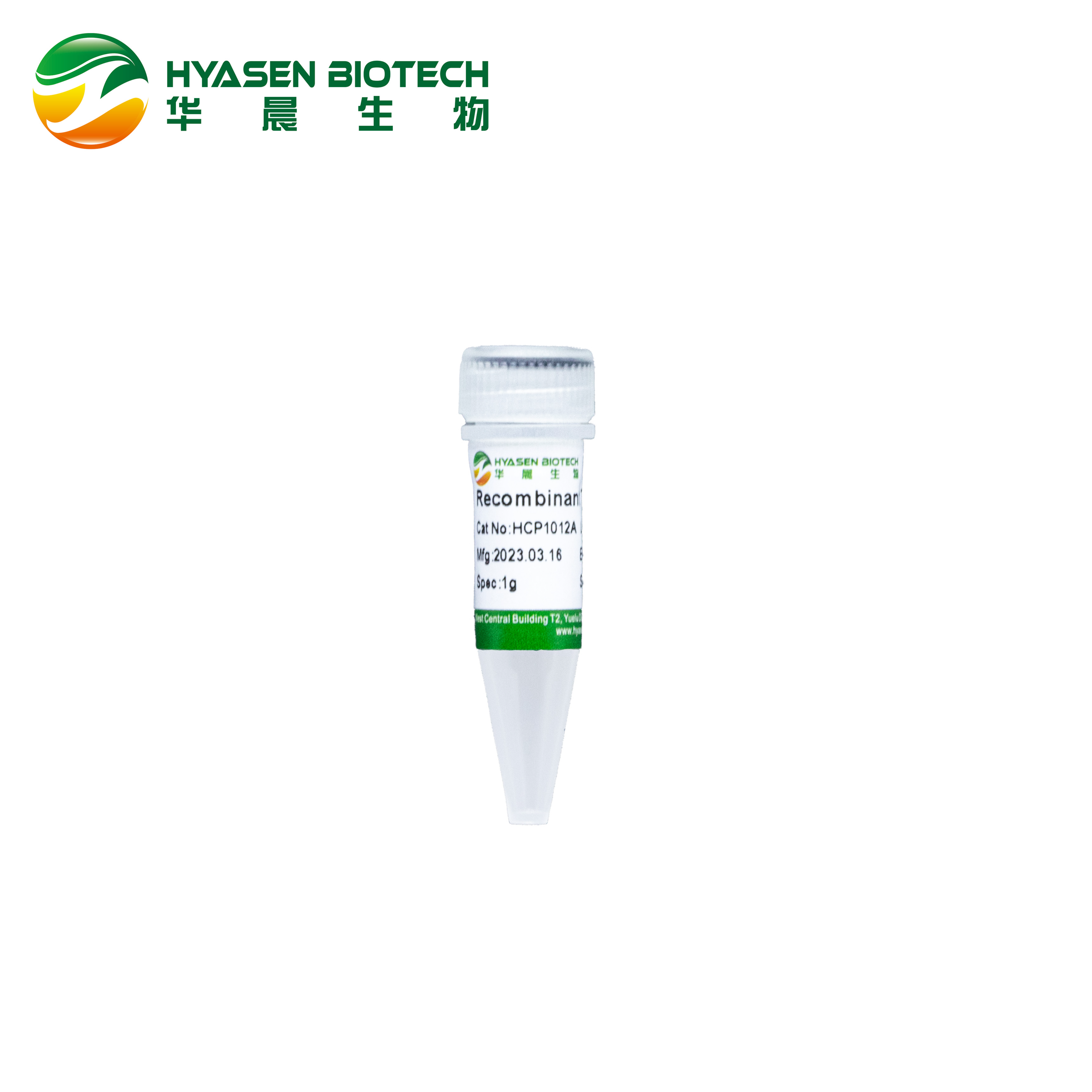 Recombinant Trypsin