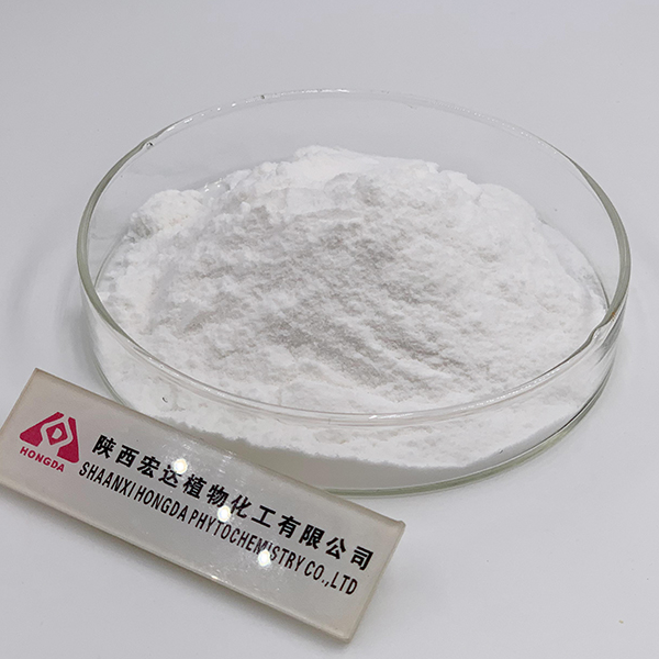 蘆薈凝膠凍干粉100:1
