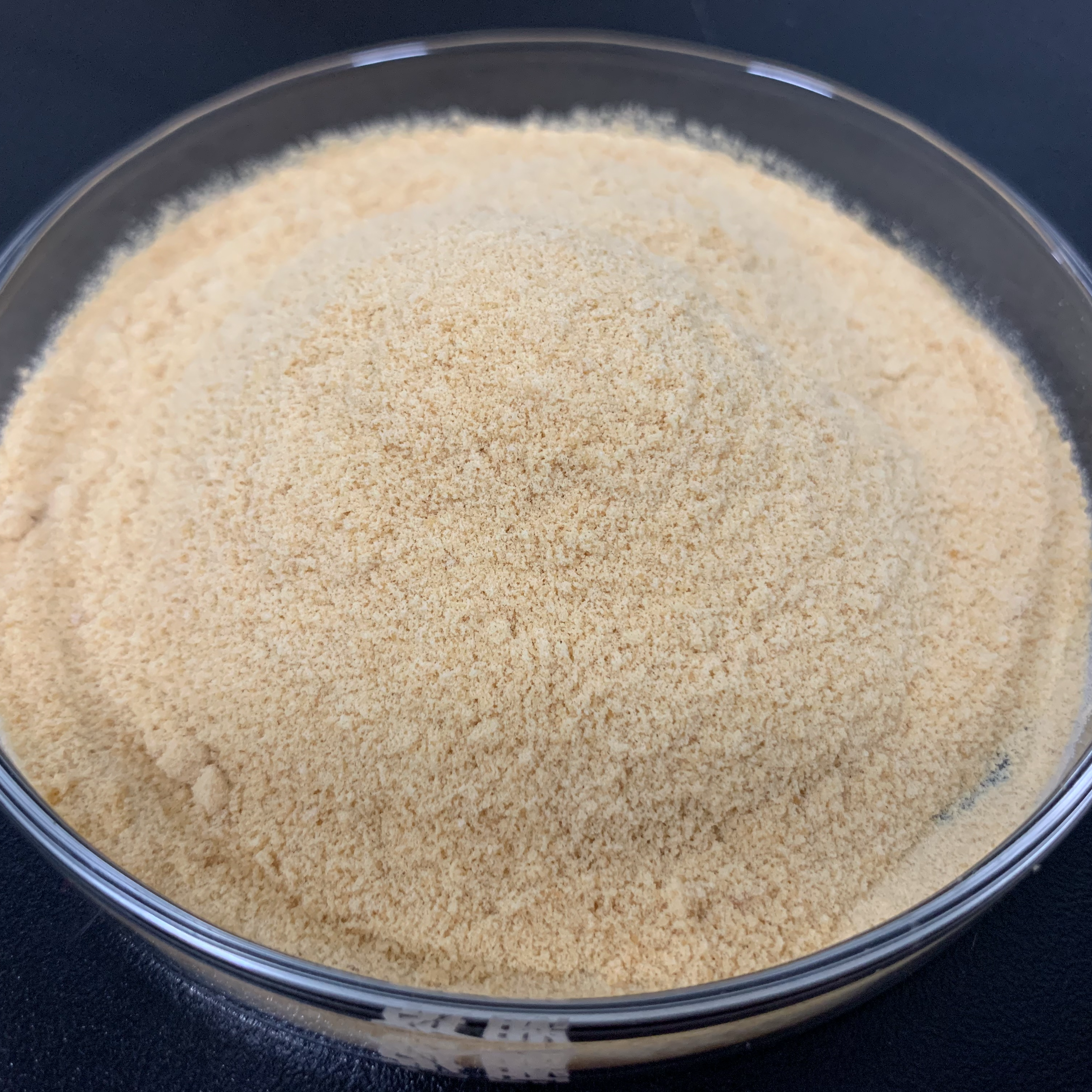 Soya Lecithin
