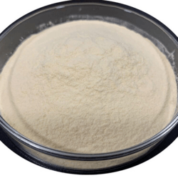 Egg Yolk Lecithin