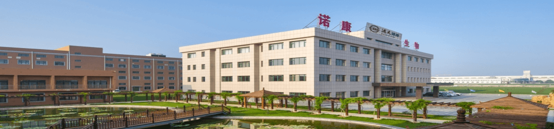 蓬莱诺康药业有限公司