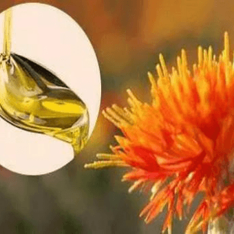 红花籽油