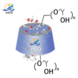 10%人參提取物包合物