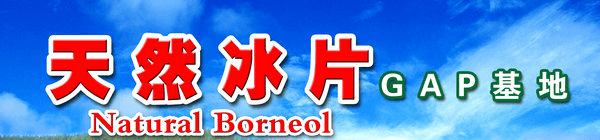 江西林科龙脑科技股份有限公司