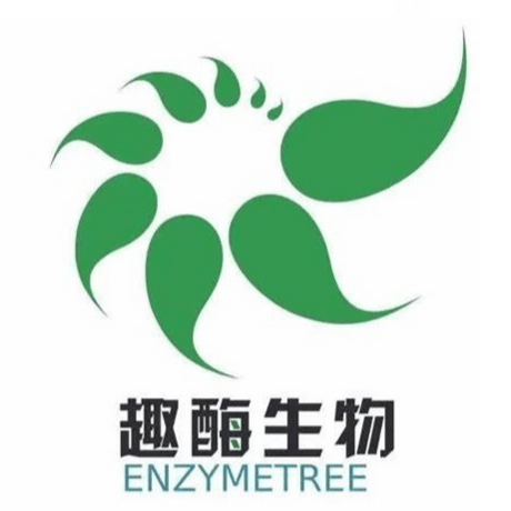 酶发酵工艺