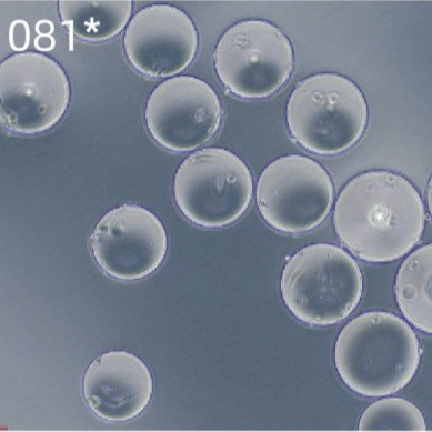 Puredex® Cyto-1 微载体