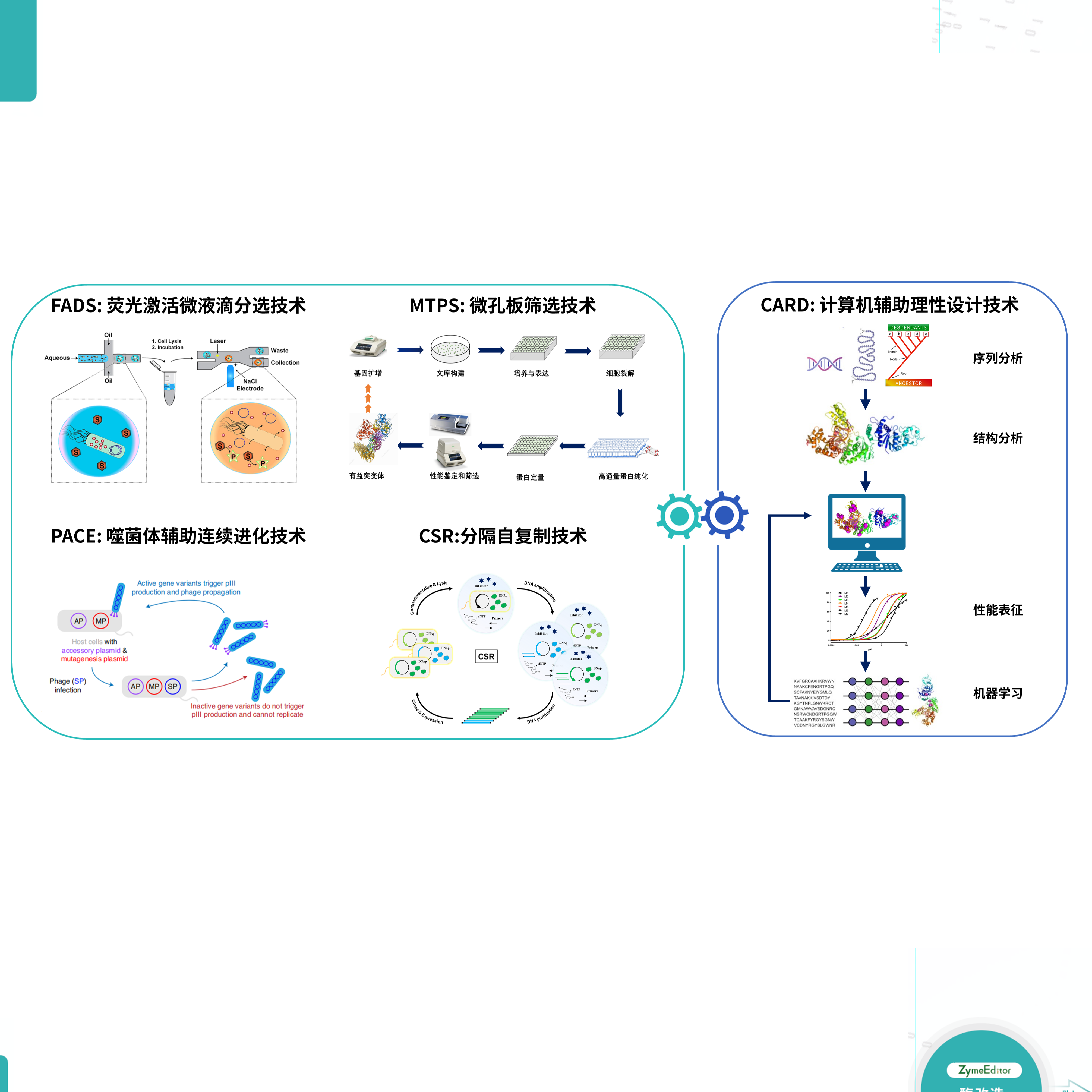 ZymeEditor創(chuàng)新型酶進(jìn)化平臺(tái)