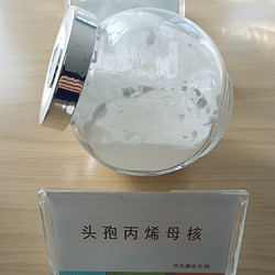 7-氨基-3-丙烯基-头孢烷酸