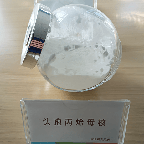 7-氨基-3-丙烯基-头孢烷酸