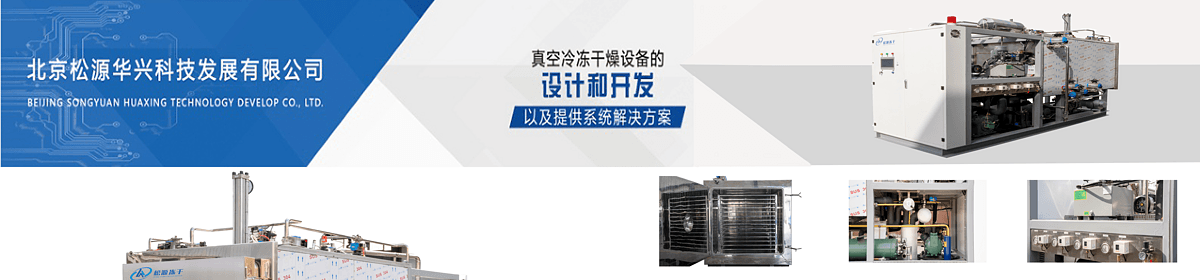北京松源华兴科技发展有限公司