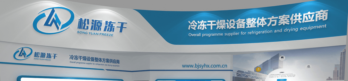北京松源华兴科技发展有限公司