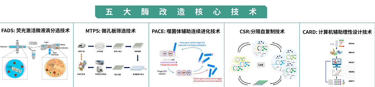 鎂孚泰生物科技（上海）有限公司