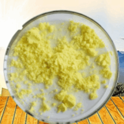 黄连提取物99% 黄连粉 双黄连提取物 盐酸小檗碱
