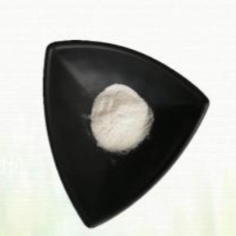 岩白菜素98%