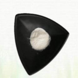 岩白菜素98%