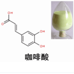 蒲公英提取物 咖啡酸0.4%