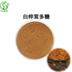 白桦茸多糖50%