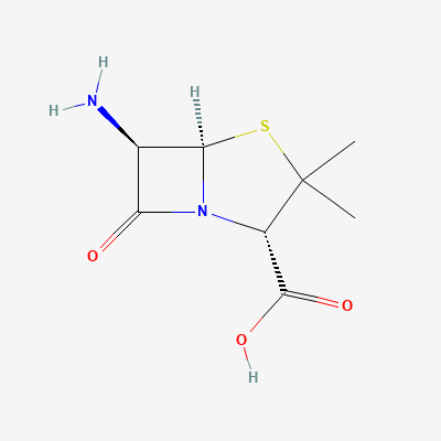 6-APA  6-氨基青霉烷酸