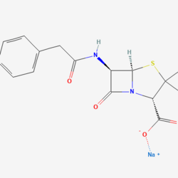Benzylpenicillin Sodium Sterile 青霉素钠无菌粉