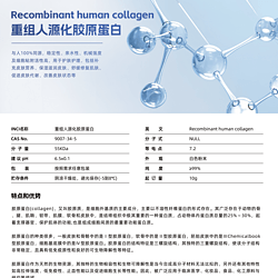 重组人源化胶原蛋白