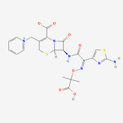 Ceftazidime Pentahydrate Sterile 头孢他啶无菌粉