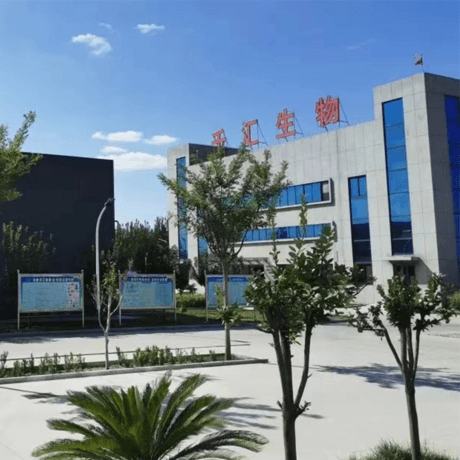 磺丁基醚倍他环糊精钠 增溶剂、多价掩味剂、整合剂 SBECD
