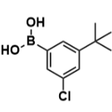 (3-(叔丁基)-5-氯苯基)硼酸