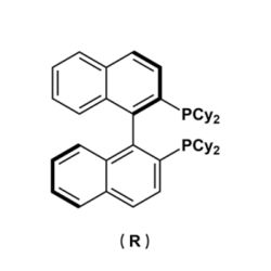 1,1'-(1R)-[1,1'-联萘]-2,2'-双[1,1-环己基]膦 ((R)-Cy-Binap)