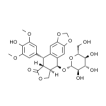 4'-去甲基表鬼臼毒素-β-D-吡喃葡萄糖苷