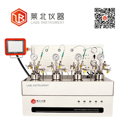 多功能平行反应釜