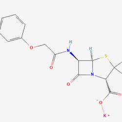Penicillin V Potassium Tablets 青霉素V钾片
