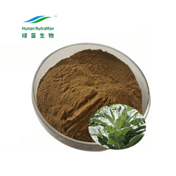 原料10:1毛蕊花叶提取物