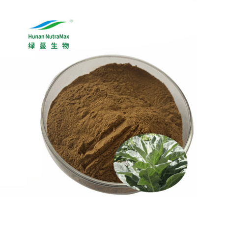 原料10:1毛蕊花叶提取物