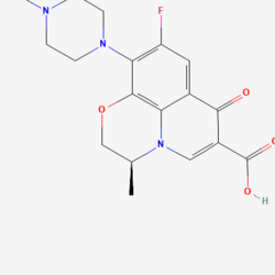 Levofloxacin Hydrochloride Tablets 鹽酸左氧氟沙星片