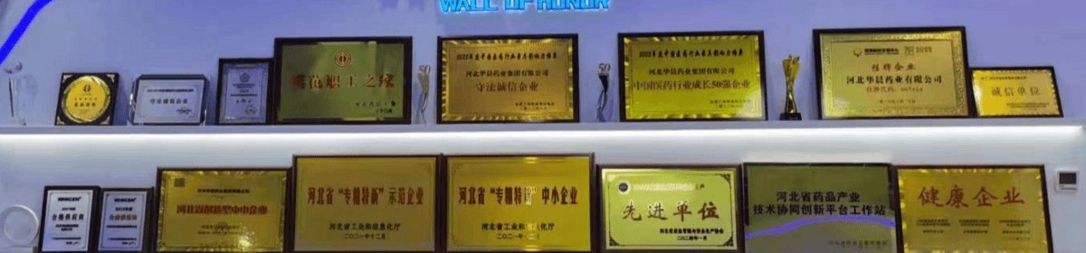 河北华晨药业集团有限公司