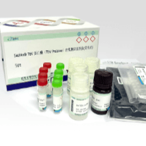 Seebio® TEV 蛋白酶（TEV Protease）活性测定试剂盒（荧光法）