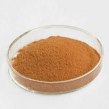 Rhodiola extract 红景天提取物