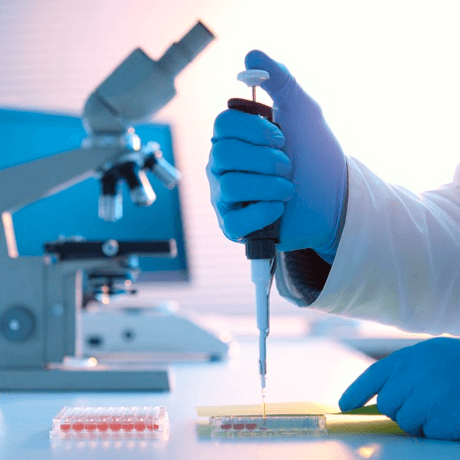 DMPK药物代谢及动力学研究