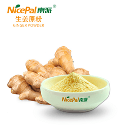 生姜原粉 ginger powder