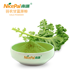 羽衣甘蓝原粉 kale powder