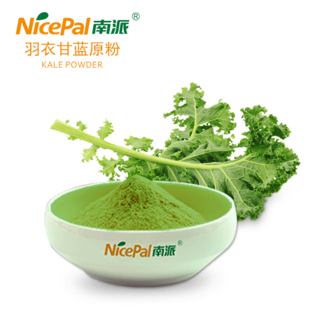 羽衣甘蓝原粉 kale powder